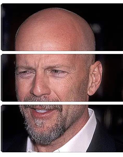 Модульная картина - Брюс Уиллис. Bruce Willis Модульная картина - Брюс Уиллис. Bruce Willis