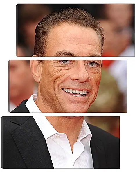 Модульная картина - Жан-Клод Ван Дамм. Jean-Claude Van Damme Модульная картина - Жан-Клод Ван Дамм. Jean-Claude Van Damme