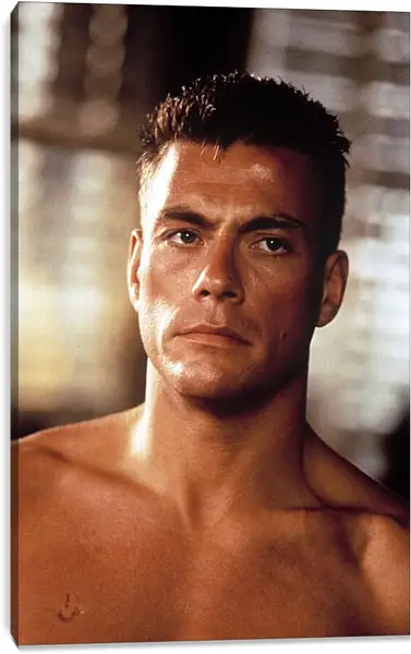 Постер на подрамнике - Жан-Клод Ван Дамм. Jean-Claude Van Damme Постер на подрамнике - Жан-Клод Ван Дамм. Jean-Claude Van Damme
