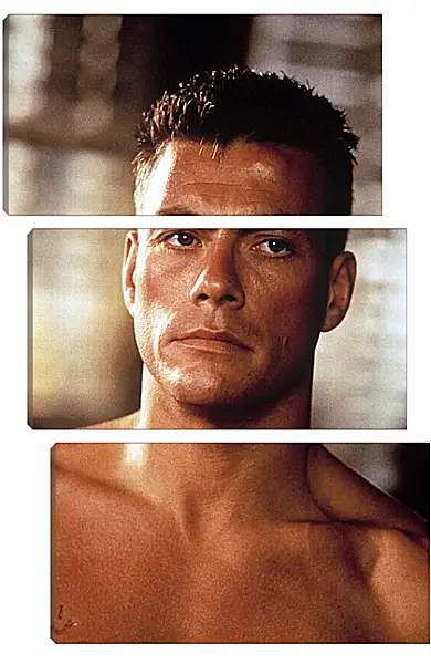 Модульная картина - Жан-Клод Ван Дамм. Jean-Claude Van Damme Модульная картина - Жан-Клод Ван Дамм. Jean-Claude Van Damme