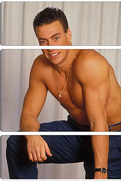 Модульная картина - Жан-Клод Ван Дамм. Jean-Claude Van Damme Модульная картина - Жан-Клод Ван Дамм. Jean-Claude Van Damme