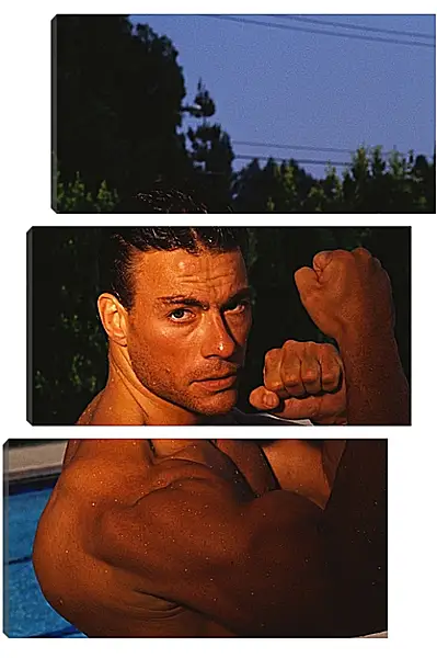 Модульная картина - Жан-Клод Ван Дамм. Jean-Claude Van Damme Модульная картина - Жан-Клод Ван Дамм. Jean-Claude Van Damme