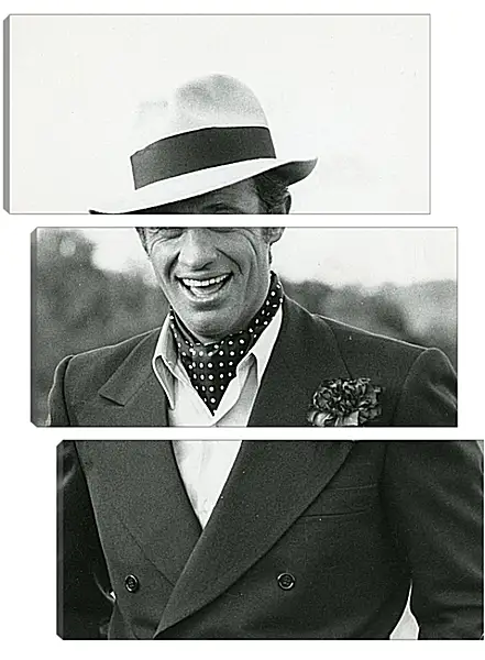 Модульная картина - Жан-Поль Бельмондо. Jean-Paul Belmondo Модульная картина - Жан-Поль Бельмондо. Jean-Paul Belmondo