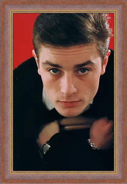 Картина в раме - Ален Делон. Alain Delon Картина в раме - Ален Делон. Alain Delon