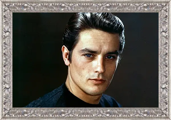 Картина в раме - Ален Делон. Alain Delon Картина в раме - Ален Делон. Alain Delon