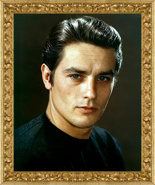 Картина в раме - Ален Делон. Alain Delon Картина в раме - Ален Делон. Alain Delon