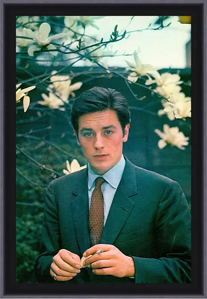 Картина в раме - Ален Делон. Alain Delon Картина в раме - Ален Делон. Alain Delon