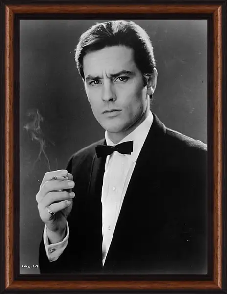 Картина в раме - Ален Делон. Alain Delon Картина в раме - Ален Делон. Alain Delon