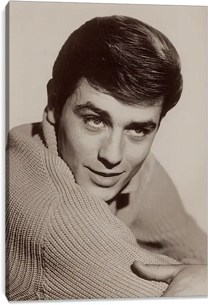 Постер на подрамнике - Ален Делон. Alain Delon Постер на подрамнике - Ален Делон. Alain Delon