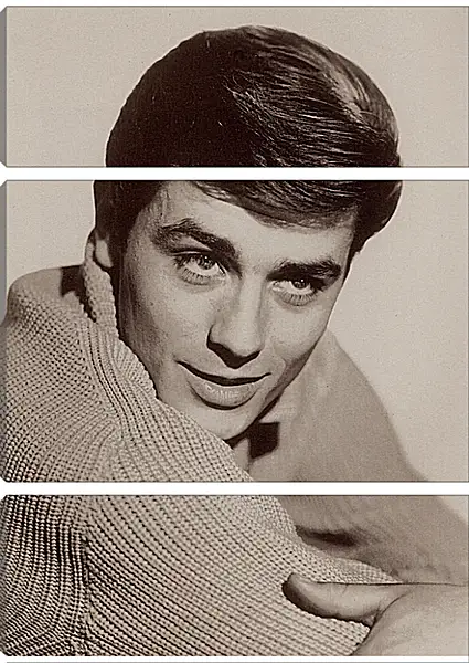 Модульная картина - Ален Делон. Alain Delon Модульная картина - Ален Делон. Alain Delon