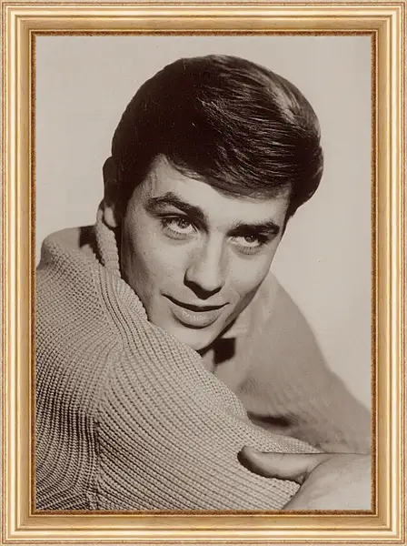 Картина в раме - Ален Делон. Alain Delon Картина в раме - Ален Делон. Alain Delon