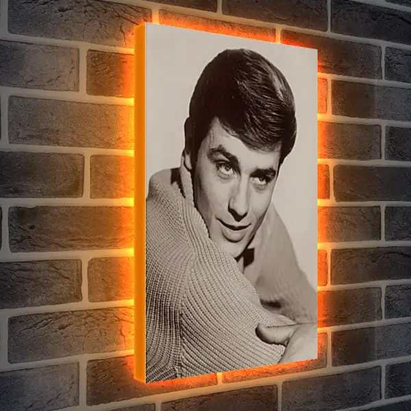 Лайтбокс световая панель - Ален Делон. Alain Delon Лайтбокс световая панель - Ален Делон. Alain Delon