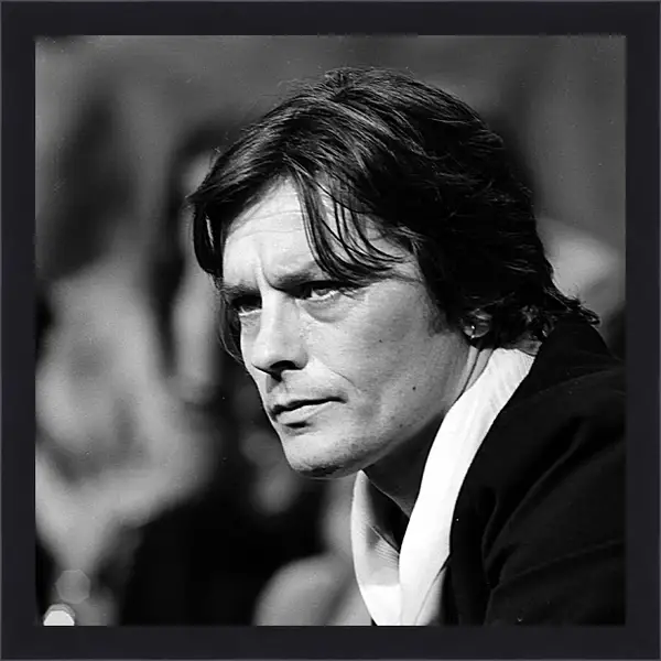 Картина в раме - Ален Делон. Alain Delon Картина в раме - Ален Делон. Alain Delon