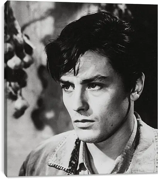 Постер на подрамнике - Ален Делон. Alain Delon Постер на подрамнике - Ален Делон. Alain Delon