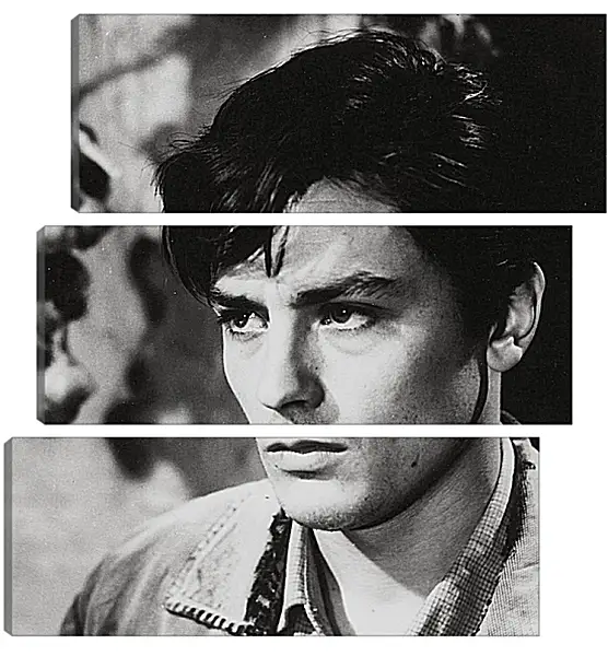 Модульная картина - Ален Делон. Alain Delon Модульная картина - Ален Делон. Alain Delon