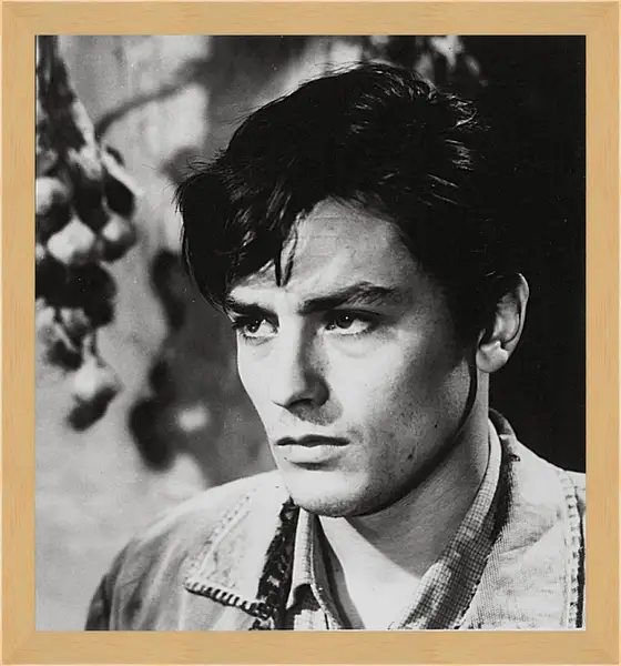 Картина в раме - Ален Делон. Alain Delon Картина в раме - Ален Делон. Alain Delon