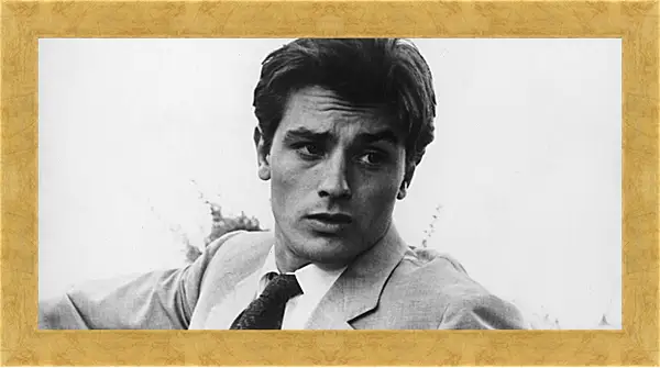 Картина в раме - Ален Делон. Alain Delon Картина в раме - Ален Делон. Alain Delon