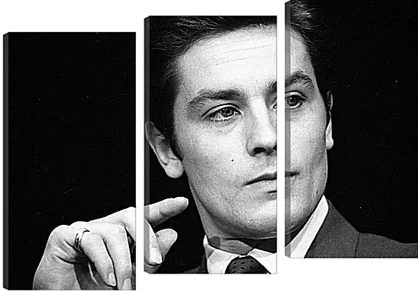 Модульная картина - Ален Делон. Alain Delon Модульная картина - Ален Делон. Alain Delon