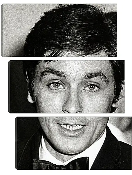 Модульная картина - Ален Делон. Alain Delon Модульная картина - Ален Делон. Alain Delon