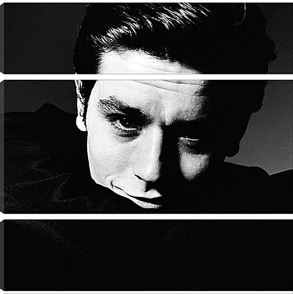 Модульная картина - Ален Делон. Alain Delon Модульная картина - Ален Делон. Alain Delon