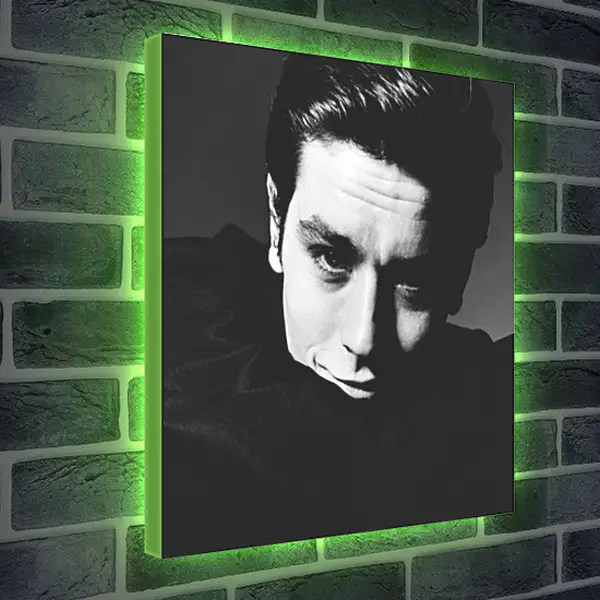 Лайтбокс световая панель - Ален Делон. Alain Delon Лайтбокс световая панель - Ален Делон. Alain Delon