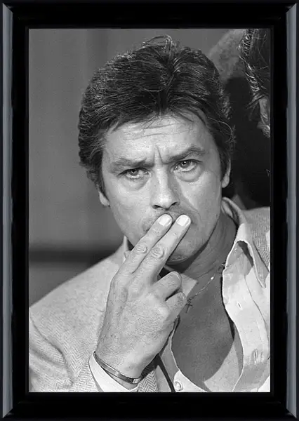 Картина в раме - Ален Делон. Alain Delon Картина в раме - Ален Делон. Alain Delon