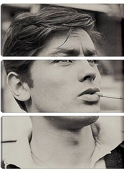 Модульная картина - Ален Делон. Alain Delon Модульная картина - Ален Делон. Alain Delon