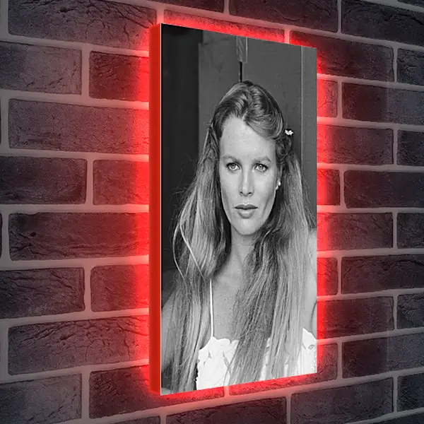 Лайтбокс световая панель - Ким Бейсингер. Kim Basinger Лайтбокс световая панель - Ким Бейсингер. Kim Basinger