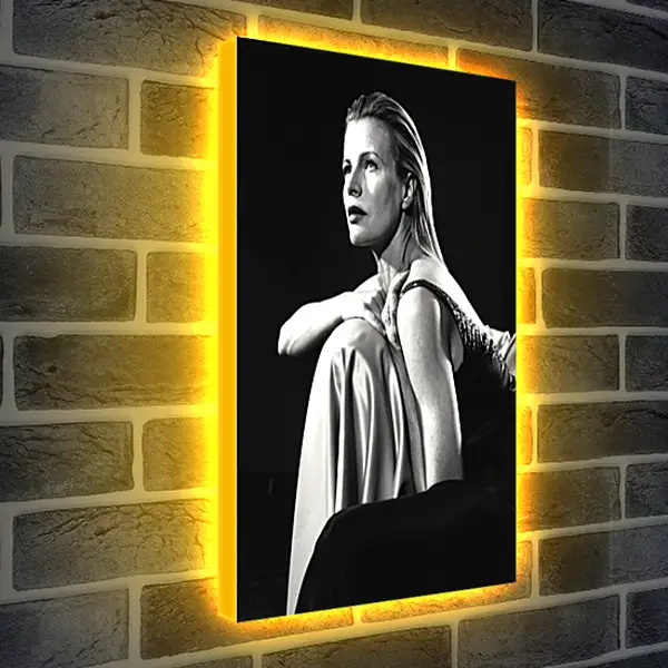 Лайтбокс световая панель - Ким Бейсингер. Kim Basinger Лайтбокс световая панель - Ким Бейсингер. Kim Basinger