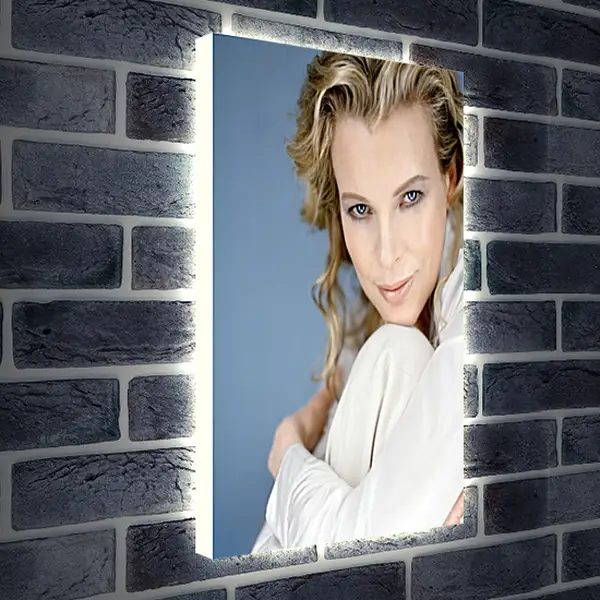 Лайтбокс световая панель - Ким Бейсингер. Kim Basinger Лайтбокс световая панель - Ким Бейсингер. Kim Basinger
