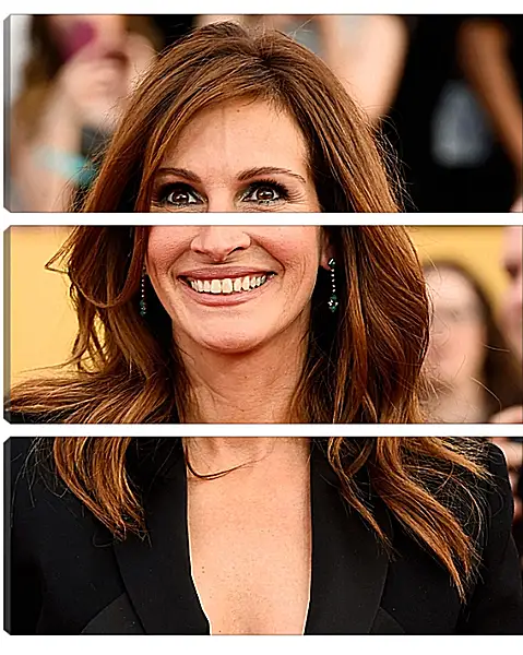 Модульная картина - Джулия Робертс. Julia Roberts Модульная картина - Джулия Робертс. Julia Roberts