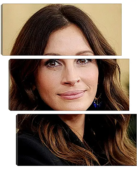 Модульная картина - Джулия Робертс. Julia Roberts Модульная картина - Джулия Робертс. Julia Roberts