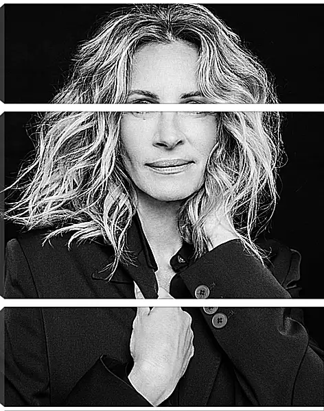 Модульная картина - Джулия Робертс. Julia Roberts Модульная картина - Джулия Робертс. Julia Roberts