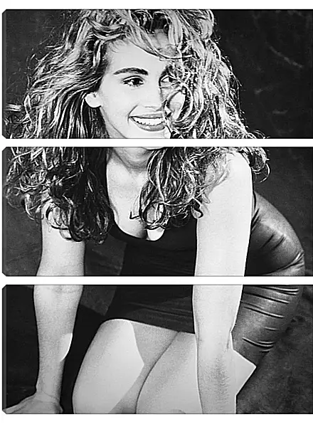 Модульная картина - Джулия Робертс. Julia Roberts Модульная картина - Джулия Робертс. Julia Roberts
