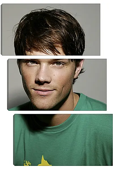 Модульная картина - Джаред Падалеки. Jared Padalecki Модульная картина - Джаред Падалеки. Jared Padalecki