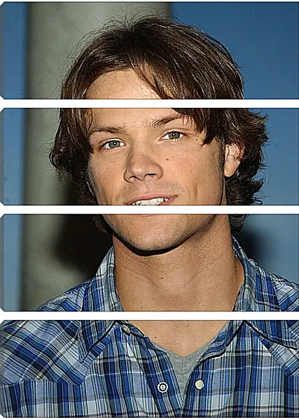 Модульная картина - Джаред Падалеки. Jared Padalecki Модульная картина - Джаред Падалеки. Jared Padalecki