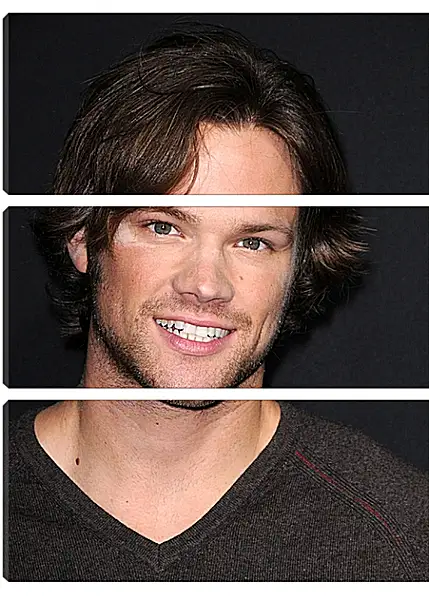 Модульная картина - Джаред Падалеки. Jared Padalecki Модульная картина - Джаред Падалеки. Jared Padalecki