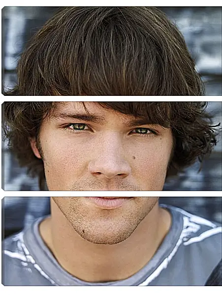 Модульная картина - Джаред Падалеки. Jared Padalecki Модульная картина - Джаред Падалеки. Jared Padalecki