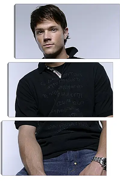 Модульная картина - Джаред Падалеки. Jared Padalecki Модульная картина - Джаред Падалеки. Jared Padalecki