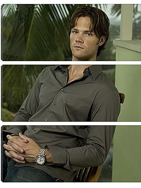 Модульная картина - Джаред Падалеки. Jared Padalecki Модульная картина - Джаред Падалеки. Jared Padalecki