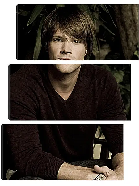 Модульная картина - Джаред Падалеки. Jared Padalecki Модульная картина - Джаред Падалеки. Jared Padalecki