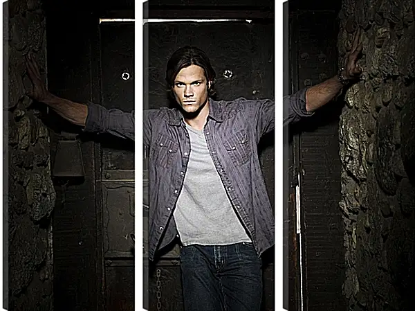 Модульная картина - Джаред Падалеки. Jared Padalecki Модульная картина - Джаред Падалеки. Jared Padalecki