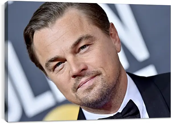 Постер на подрамнике - Леонардо Ди Каприо. Leonardo DiCaprio Постер на подрамнике - Леонардо Ди Каприо. Leonardo DiCaprio