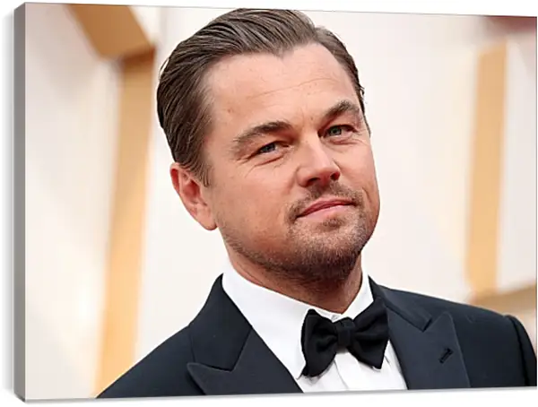 Постер на подрамнике - Леонардо Ди Каприо. Leonardo DiCaprio Постер на подрамнике - Леонардо Ди Каприо. Leonardo DiCaprio