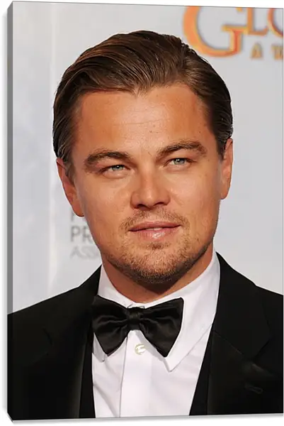 Постер на подрамнике - Леонардо Ди Каприо. Leonardo DiCaprio Постер на подрамнике - Леонардо Ди Каприо. Leonardo DiCaprio