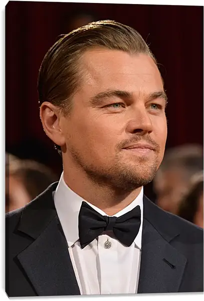 Постер на подрамнике - Леонардо Ди Каприо. Leonardo DiCaprio Постер на подрамнике - Леонардо Ди Каприо. Leonardo DiCaprio
