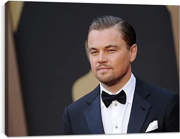 Постер на подрамнике - Леонардо Ди Каприо. Leonardo DiCaprio Постер на подрамнике - Леонардо Ди Каприо. Leonardo DiCaprio