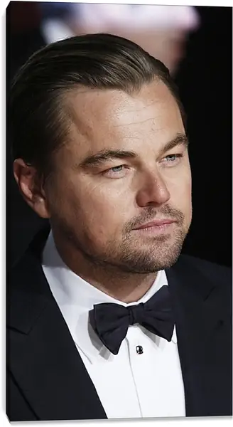 Постер на подрамнике - Леонардо Ди Каприо. Leonardo DiCaprio Постер на подрамнике - Леонардо Ди Каприо. Leonardo DiCaprio