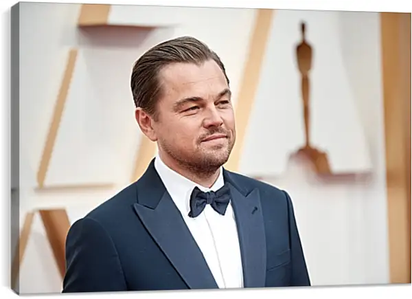 Постер на подрамнике - Леонардо Ди Каприо. Leonardo DiCaprio Постер на подрамнике - Леонардо Ди Каприо. Leonardo DiCaprio