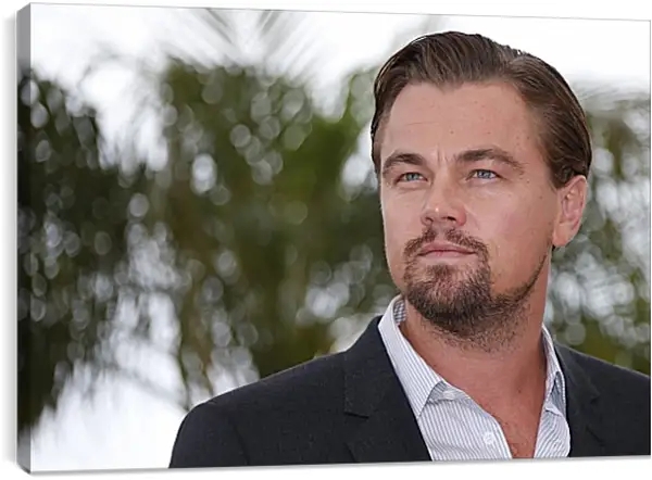 Постер на подрамнике - Леонардо Ди Каприо. Leonardo DiCaprio Постер на подрамнике - Леонардо Ди Каприо. Leonardo DiCaprio